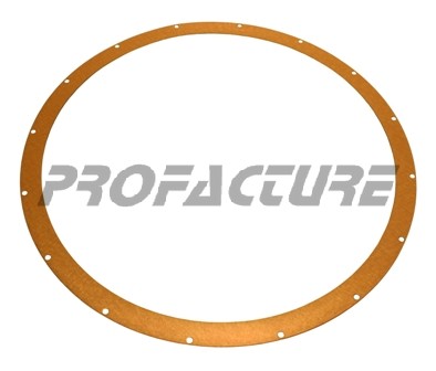 41-399-001 - TEGAL GASKET RF